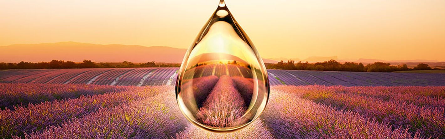 L'Occitane's Commitments