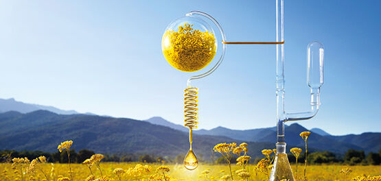 L'OCCITANE, A JOURNEY THAT STARTS IN PROVENCE