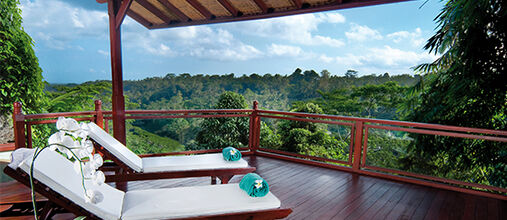 MANGO TREE SPA BY L'OCCITANE