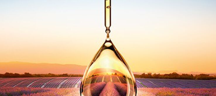 L'Occitane's Commitments