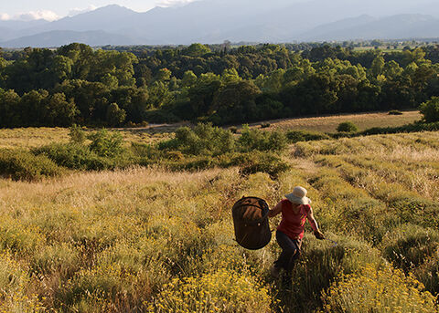 nature - L'OCCITANE