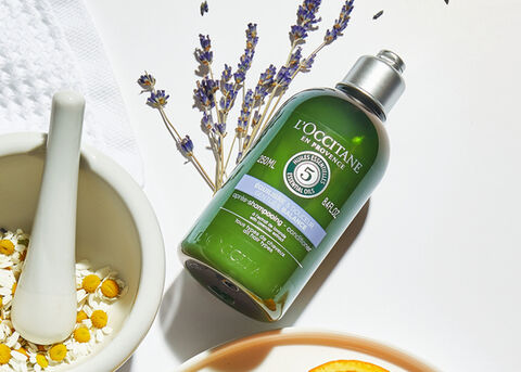 Aromachologie Gentle & Balance Conditioner - L'Occitane
