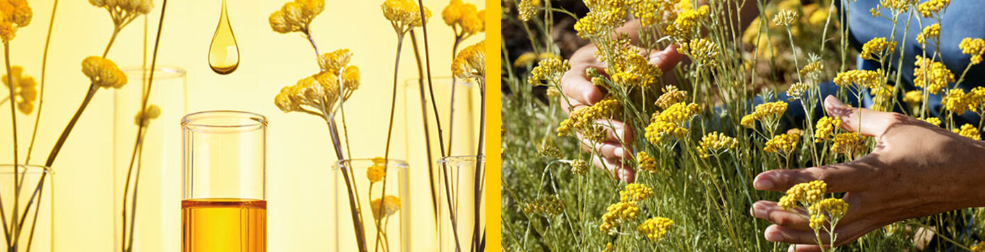 Our Formulation Philosophy