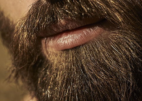 LONG BEARD