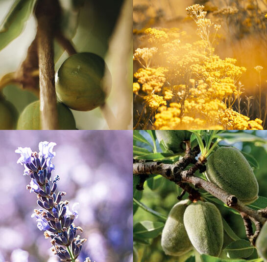 We Reveal Nature's Breakthroughs