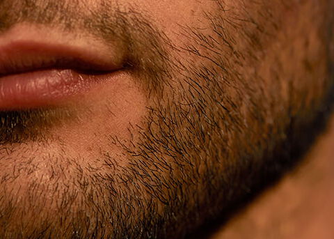 SHORT BEARD