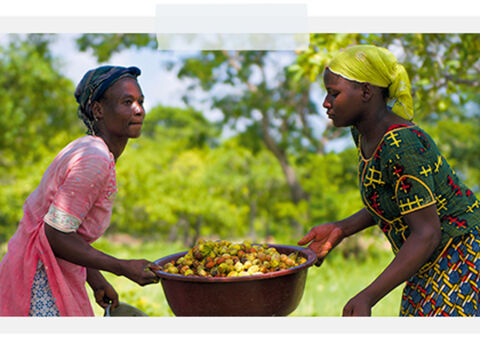 women - L'OCCITANE