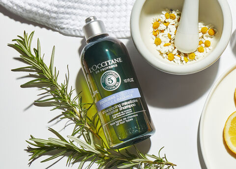 Aromachologie Gentle & Balance Micellar Shampoo - L'Occitane