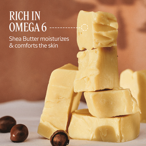 Shea Ultra Rich Face Cream, US (2) 1.7 oz | L’Occitane en Provence