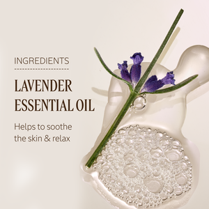 Lavender Hand Cream, US (2) 2.6 oz | L’Occitane en Provence