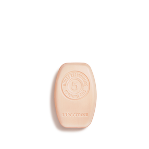 Shampoing Solide Réparation Intense, large (2) 60 g | L’Occitane en Provence