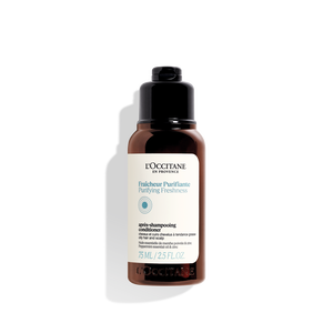 Purifying Freshness Conditioner 2.5 fl. oz | L’Occitane en Provence
