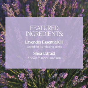 Shea Lavender Hands & Body Liquid Soap Refill, CA (2) 500 ml | L’Occitane en Provence