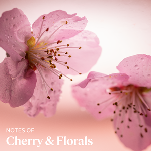Cherry Blossom Hand Cream, CA (2) 30 ml | L’Occitane en Provence