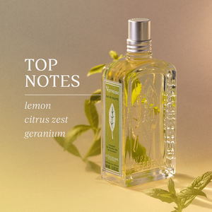 Verbena Eau de Toilette, US (2) 3.3 fl. oz | L’Occitane en Provence