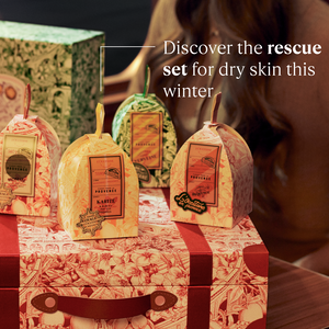 Shea Ornament, CA (2) | L’Occitane en Provence