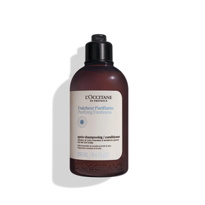 Purifying Freshness Conditioner 250 ml | L’Occitane en Provence