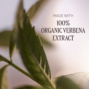 Verbena Shower Gel, US (2) 8.4 fl. oz | L’Occitane en Provence